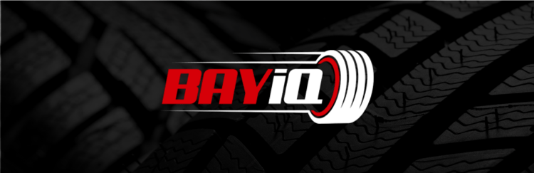 BayIQBannerBlog